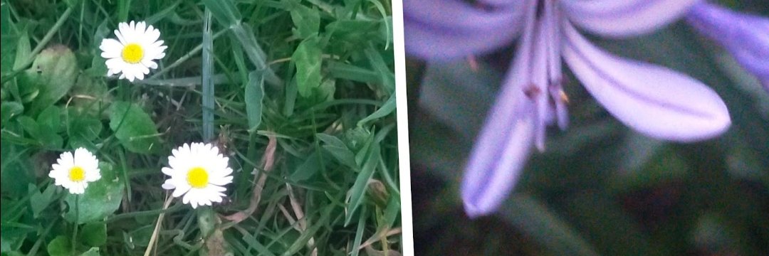 LSimilis's profile banner image