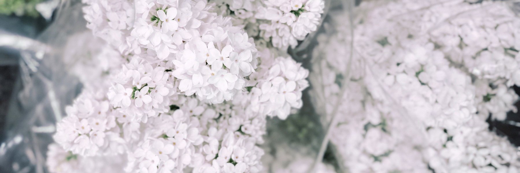 SoCalFlowerMrkt's profile banner image