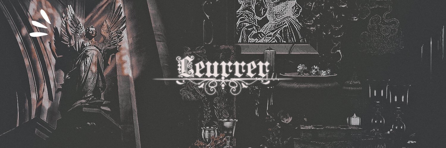 leurrer's profile banner image