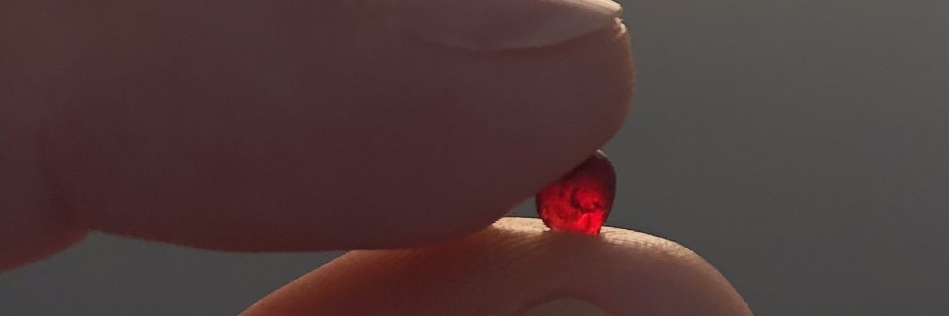 flampanda's profile banner image