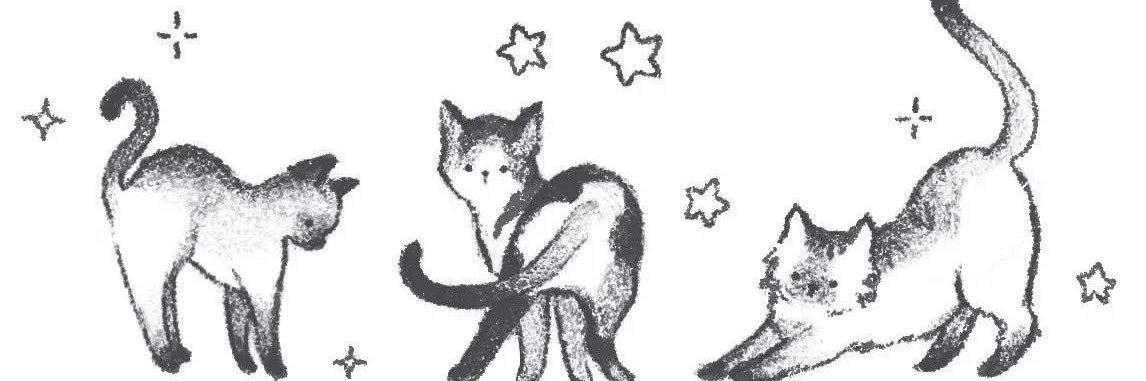 Meowkup's profile banner image
