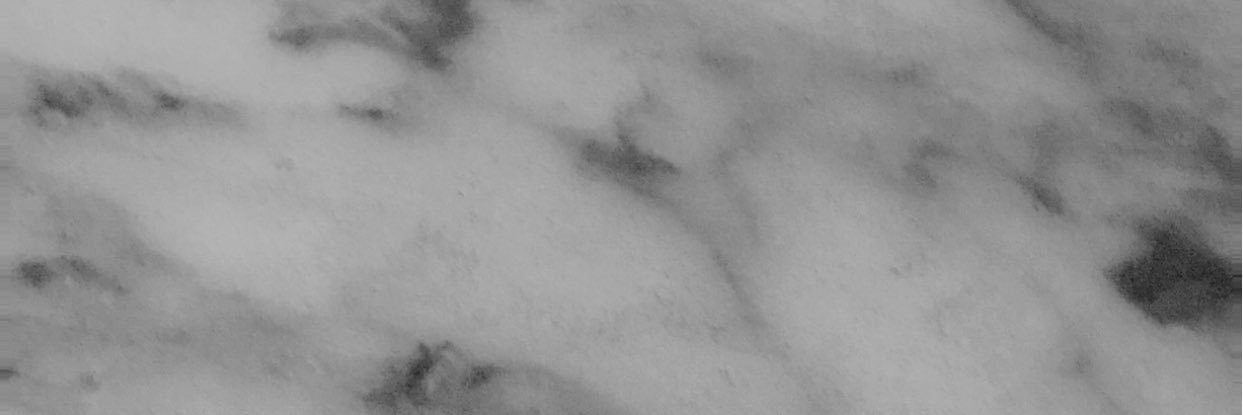 ipreferpolo's profile banner image
