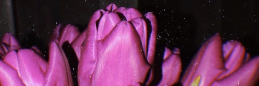 lyubaaeva's profile banner image