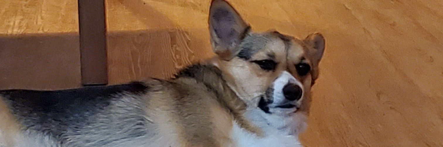 goforso's profile banner image
