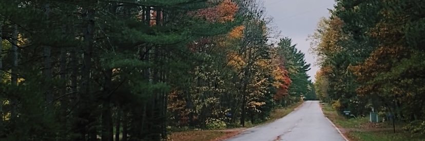 fayegoldade's profile banner image