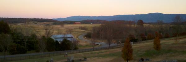 84Egall Profile Banner