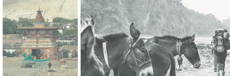 visitheaventrek's profile banner image