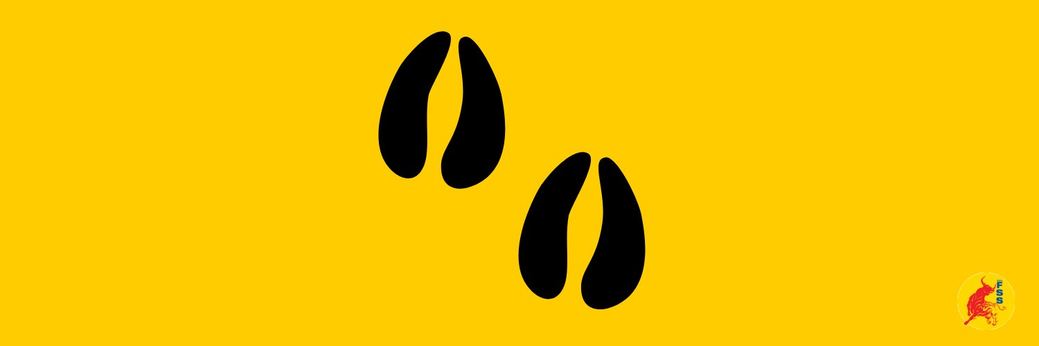 Bolt banner