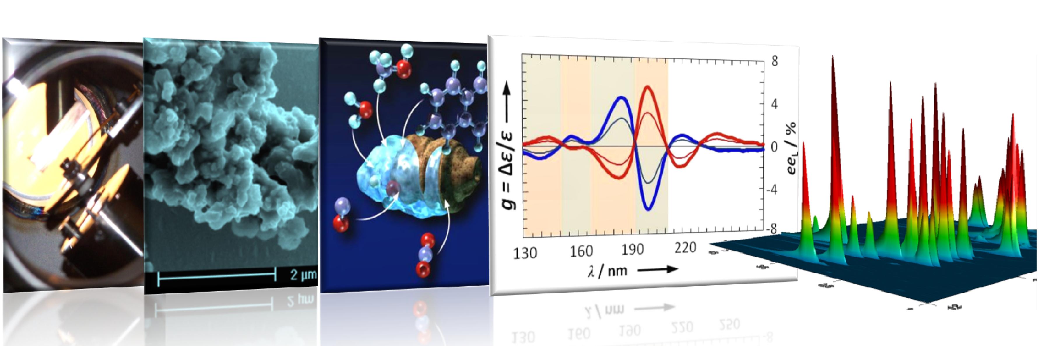 Cornelia Meinert banner