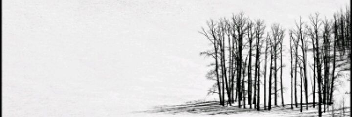 Charlesss98's profile banner image