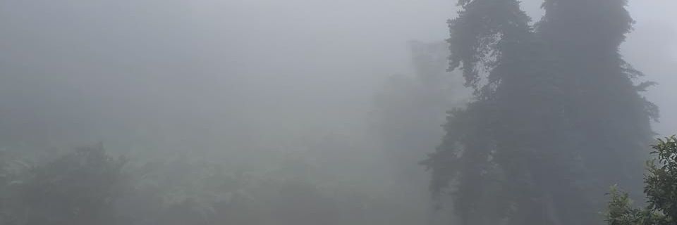 faydymerly's profile banner image