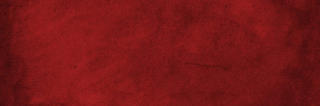 MnCamerata's profile banner image