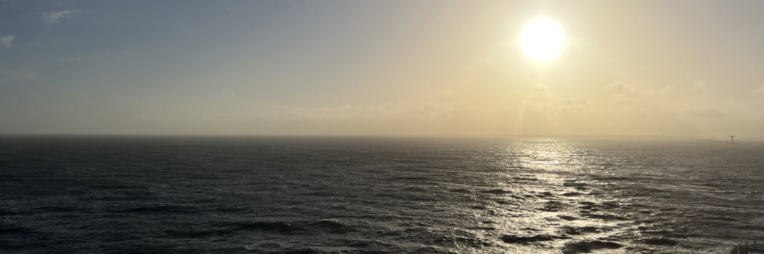 Nico (he/him) banner