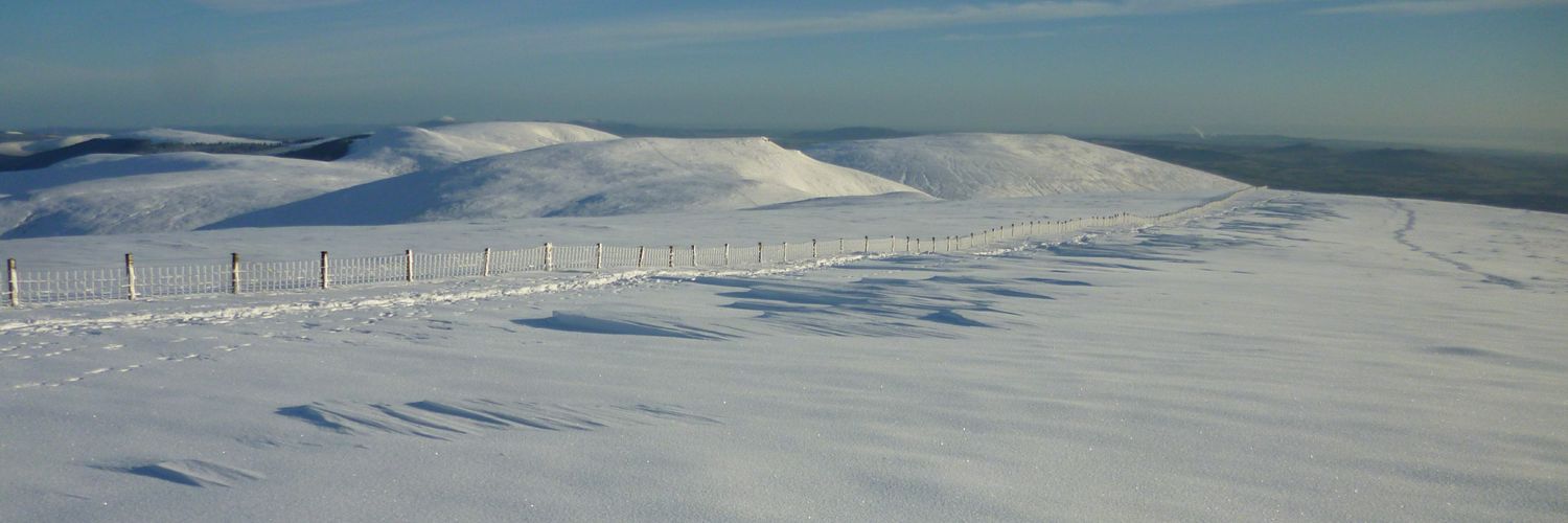 Mark Johnston banner