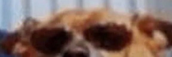 bombolone99's profile banner image