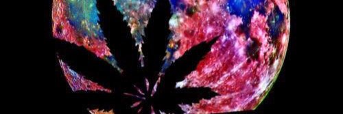 nnellynel's profile banner image