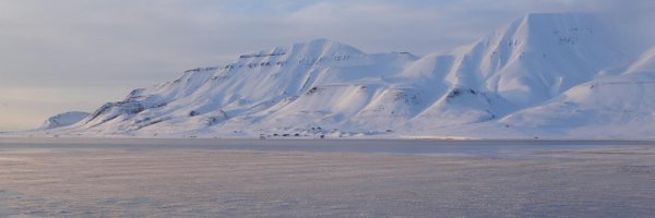 ZoeRoseby Profile Banner