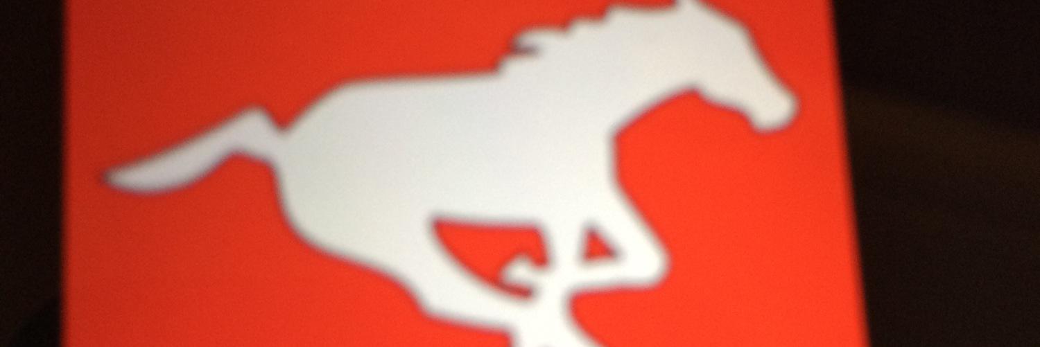 GibbVerna's profile banner image