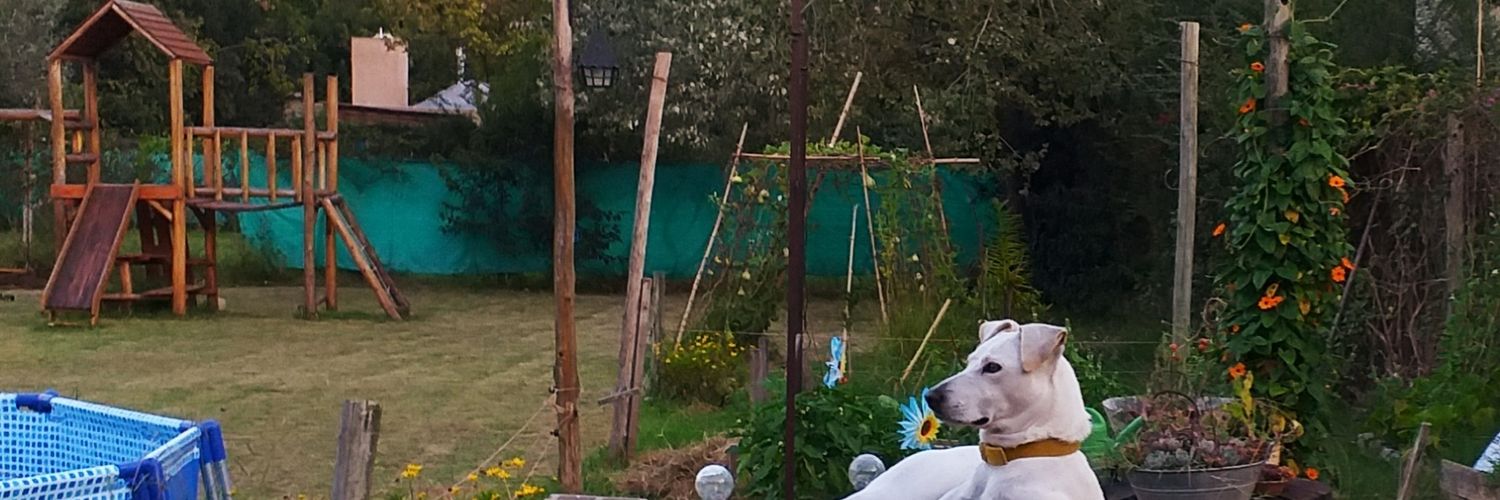EstebanDeLuca's profile banner image