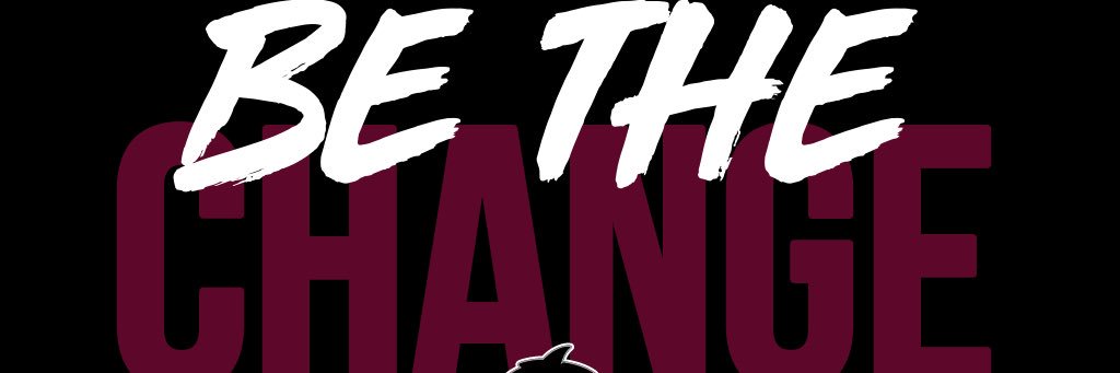 DMHSBasketball banner