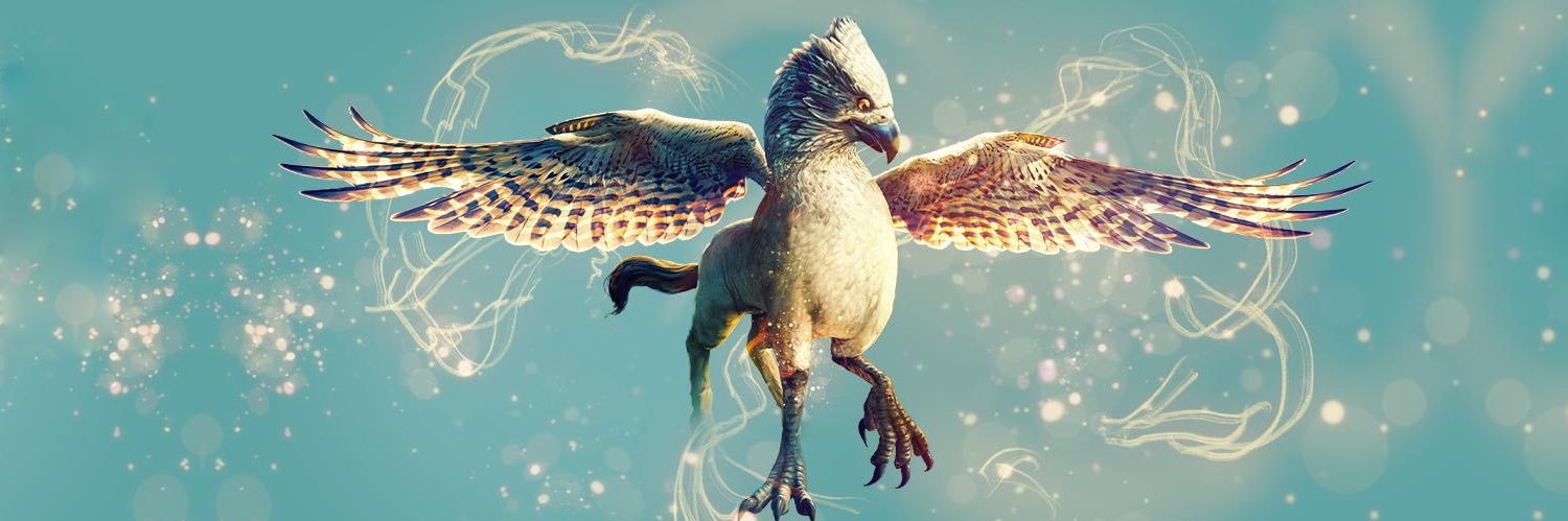 WizardsUniteMX's profile banner image