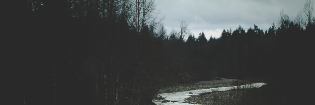 beckyfogdr's profile banner image
