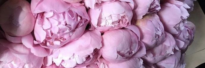 ilearell's profile banner image