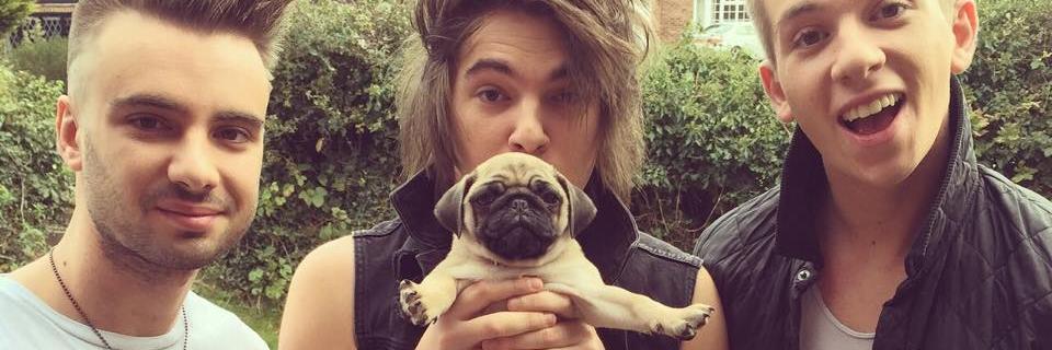 realrockylemon's profile banner image
