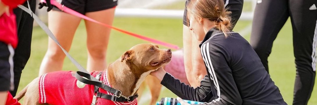 Justin Bryant banner