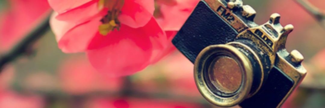 desicinta34's profile banner image