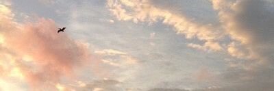 Angel0Taiyo's profile banner image