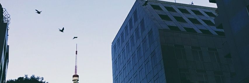 skywalker3105's profile banner image