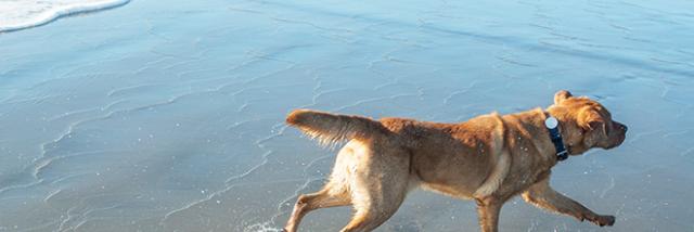 LuchoPardo747's profile banner image