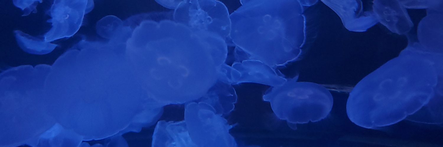 HLalamda's profile banner image
