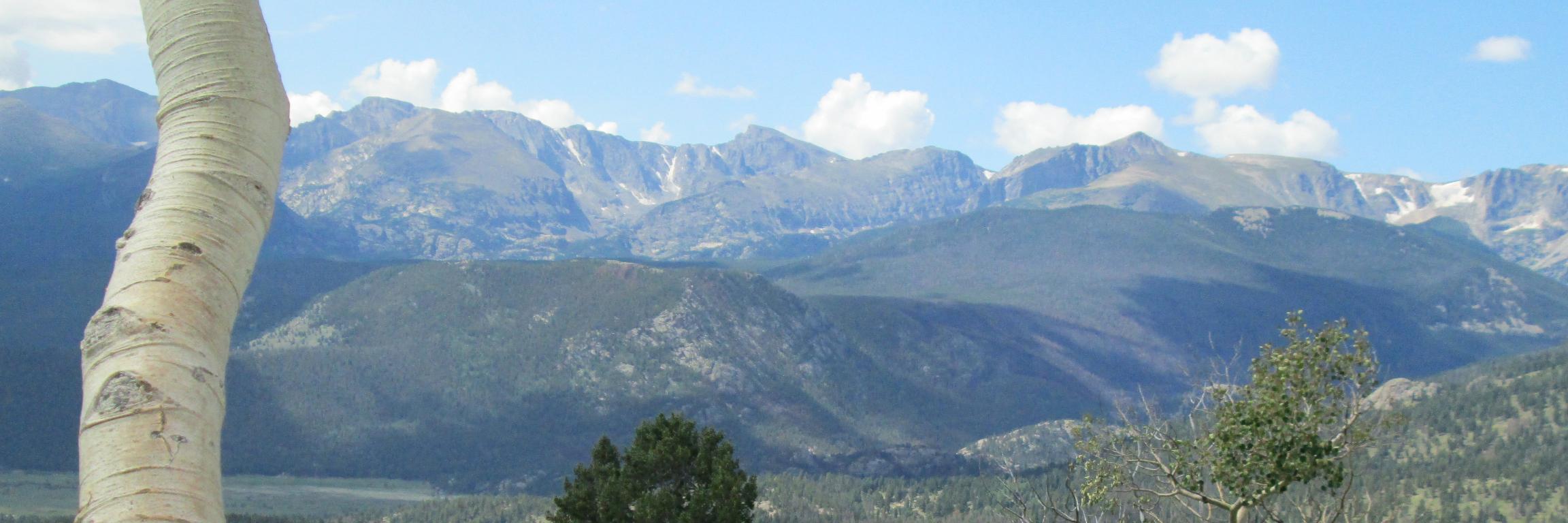 Meryl Colton, MD MSc banner