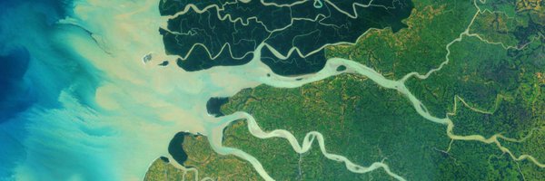 el_morce Profile Banner