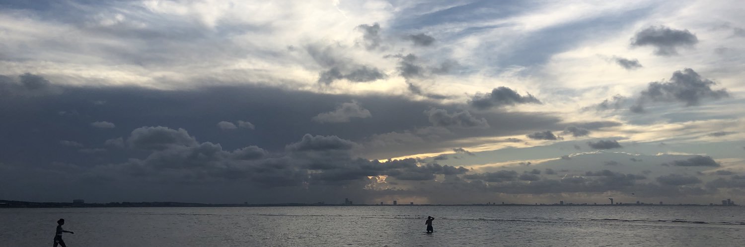 taavo_rivera's profile banner image