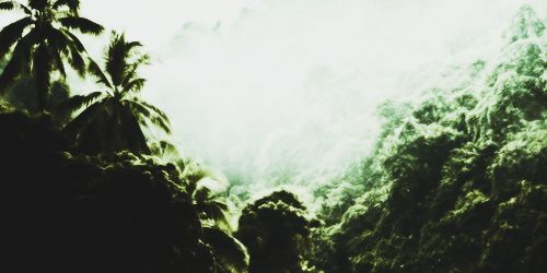 itsrodendbcl's profile banner image