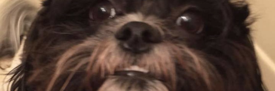 EndOfTheLinePaI's profile banner image