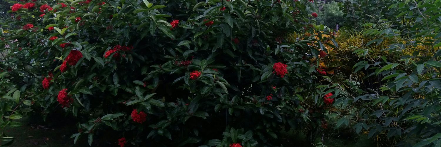 JEsteban507's profile banner image