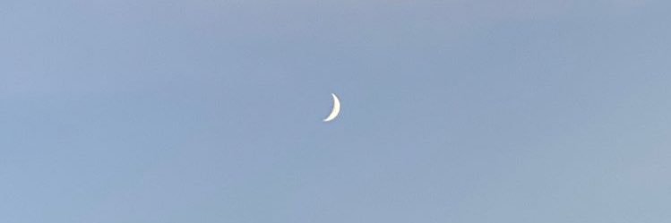 E banner