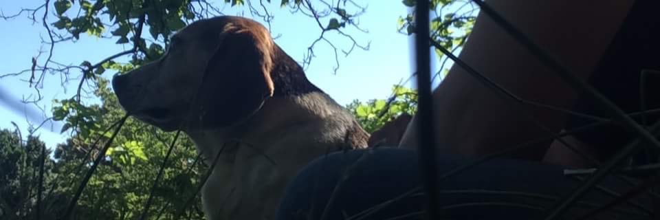 madychapman's profile banner image
