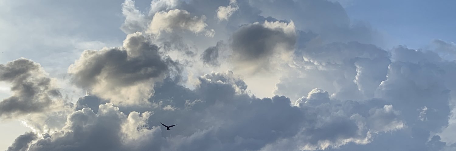 PareshPatel121's profile banner image