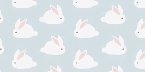 RinaYoshika's profile banner image