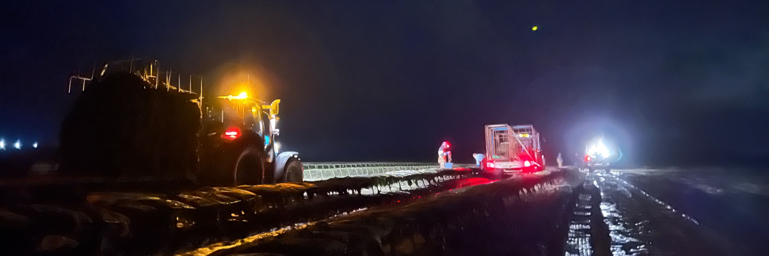 DOMA - Dundrum Bay banner