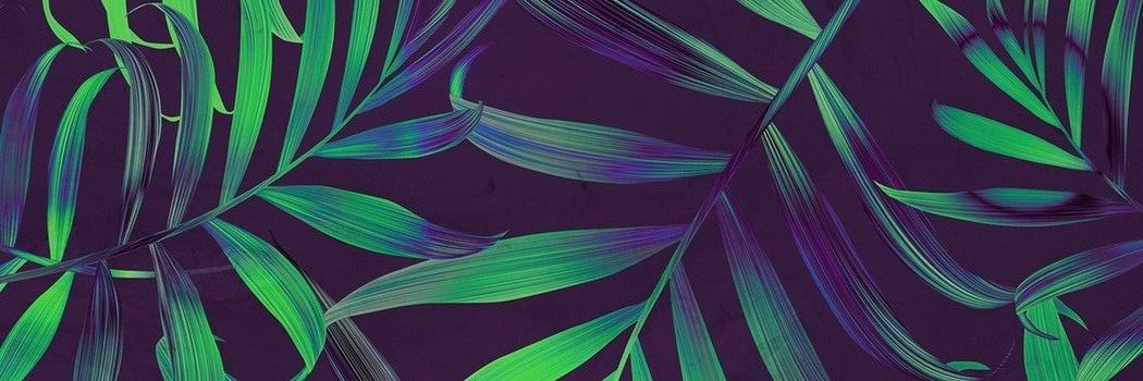 adelebdn's profile banner image
