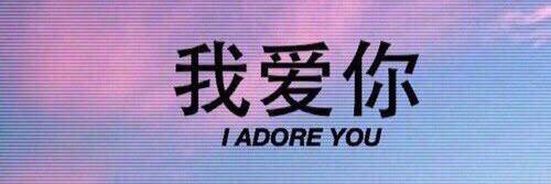 yoncexrp's profile banner image