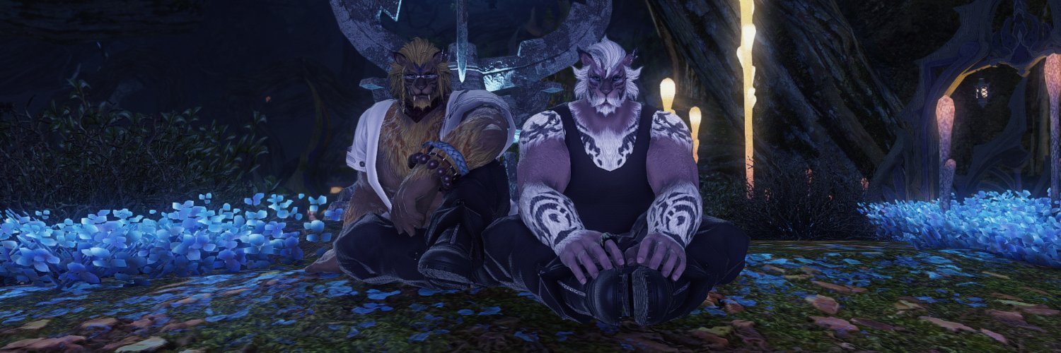 WiryWolf32's profile banner image