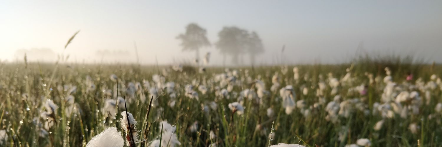 Patrick Jansen 🐾 banner