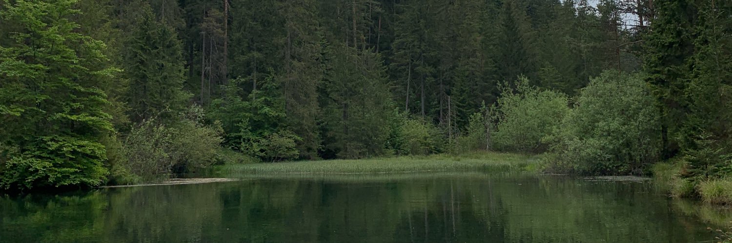 simonaazel's profile banner image